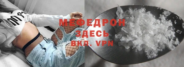 индика Белокуриха