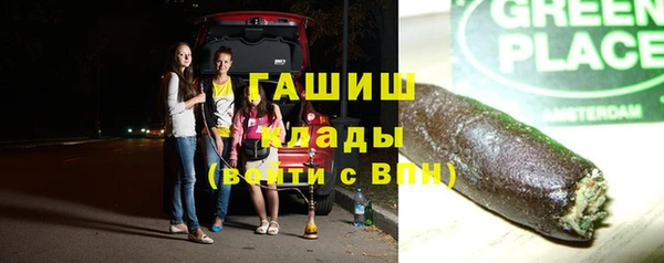 индика Белокуриха