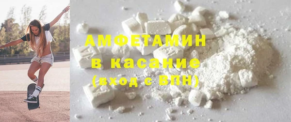 индика Белокуриха