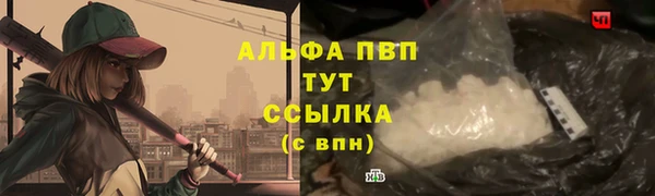индика Белокуриха