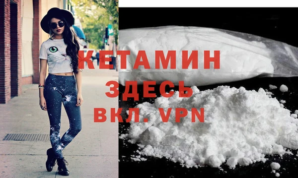 индика Белокуриха