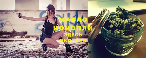 индика Белокуриха