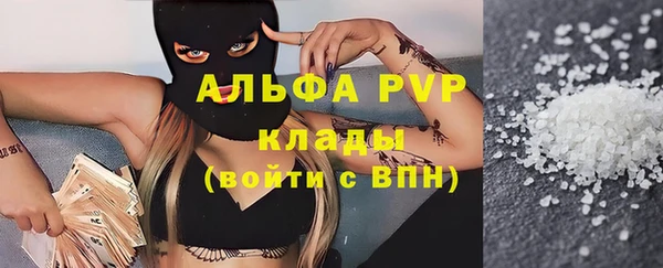 индика Белокуриха