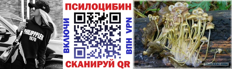 ОМГ ОМГ как зайти  магазин  наркотиков  Верхний Уфалей  Псилоцибиновые грибы ЛСД 